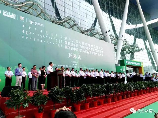 云台冰菊走进绿博会